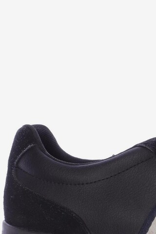 TOMMY HILFIGER Sneakers & Trainers in 41 in Black