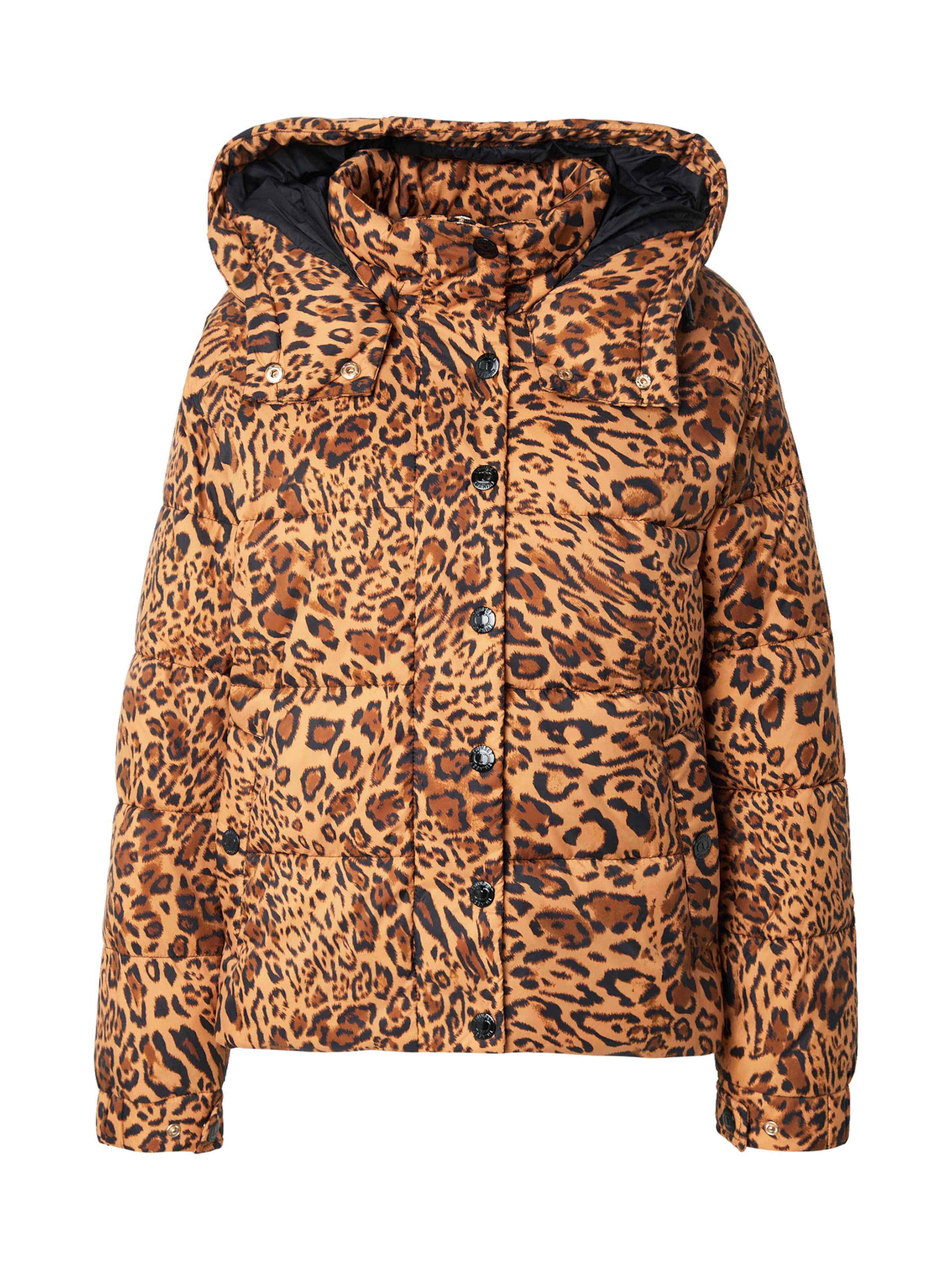 Veste mi-saison Twinset en marron : devant