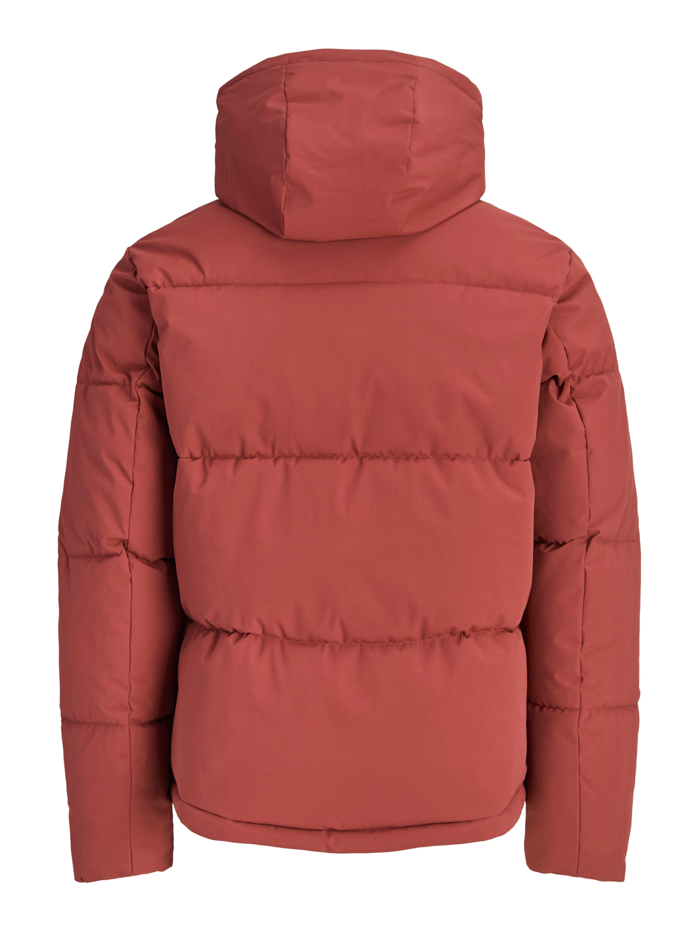 JACK & JONES Vinterjacka 'JJGALAXY' i brun