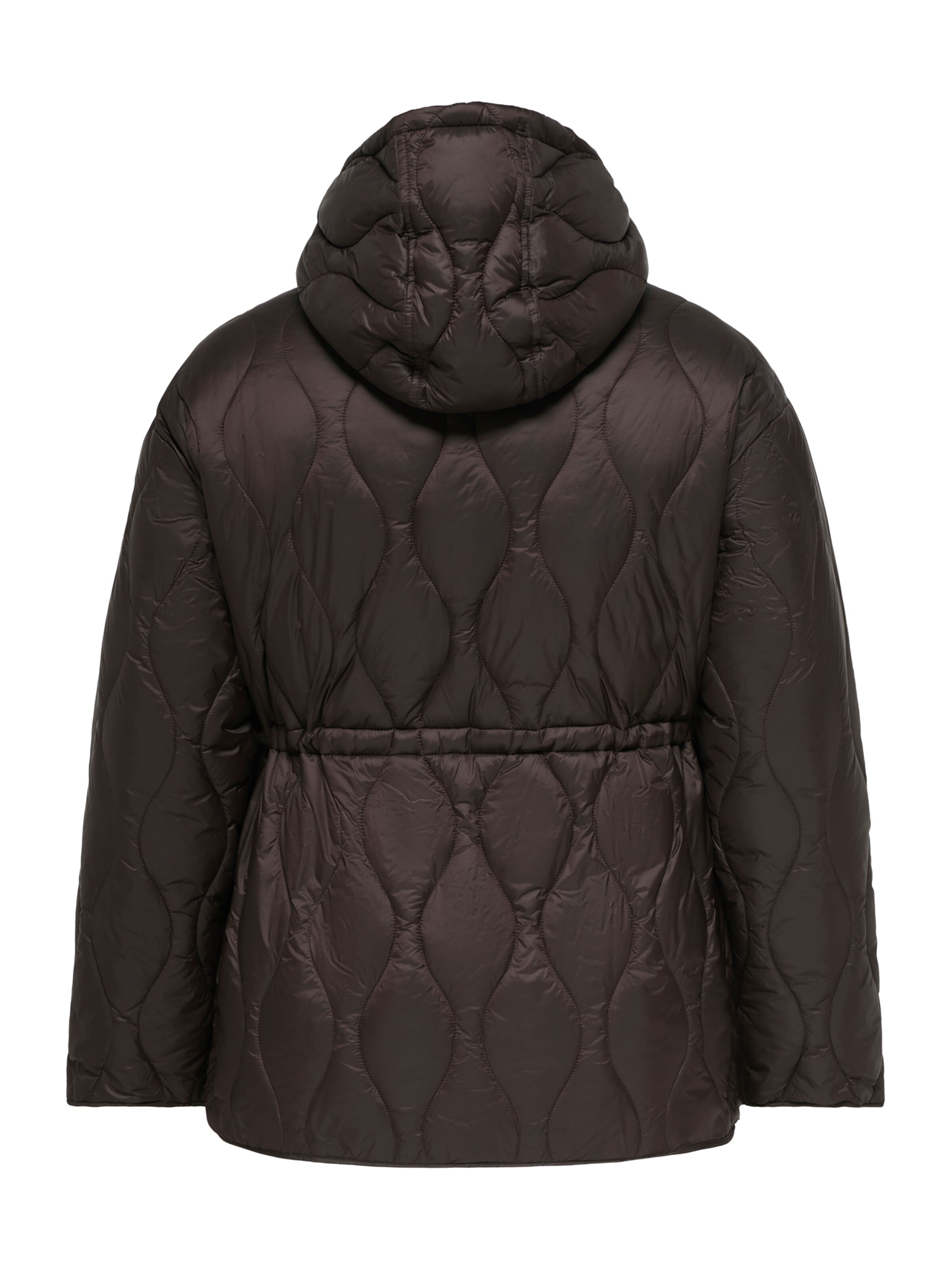 Veste mi-saison 'CARTANIA' ONLY Carmakoma en marron