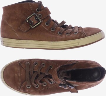 Paul Green Sneakers & Trainers in 38,5 in Brown: front