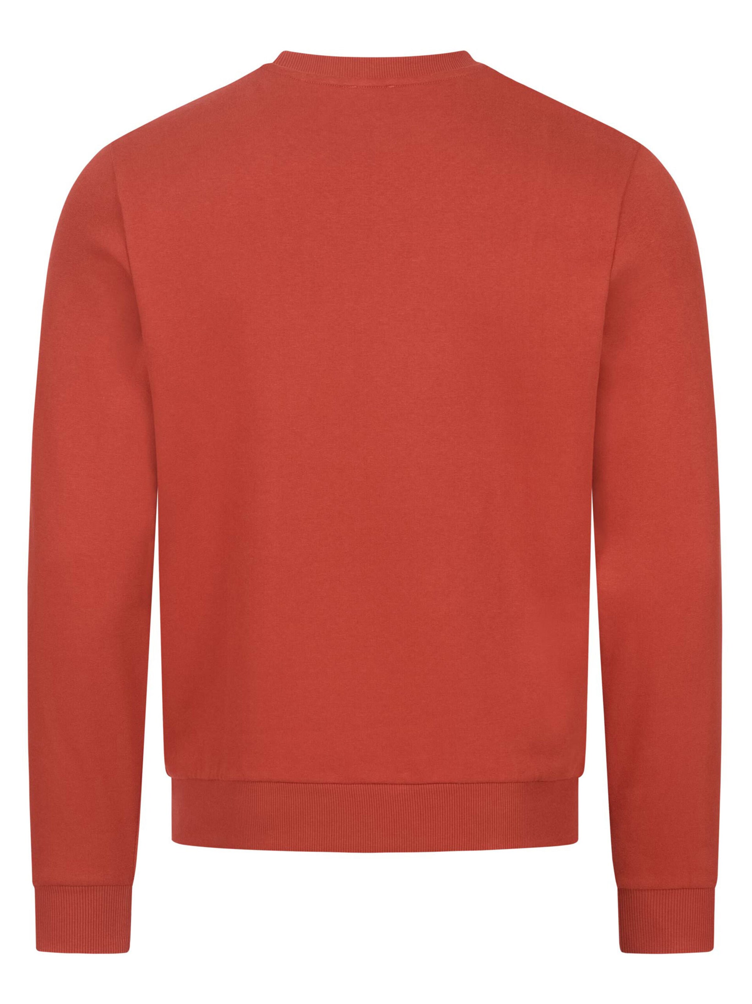 U.S. POLO ASSN. Sweatshirt in Brown