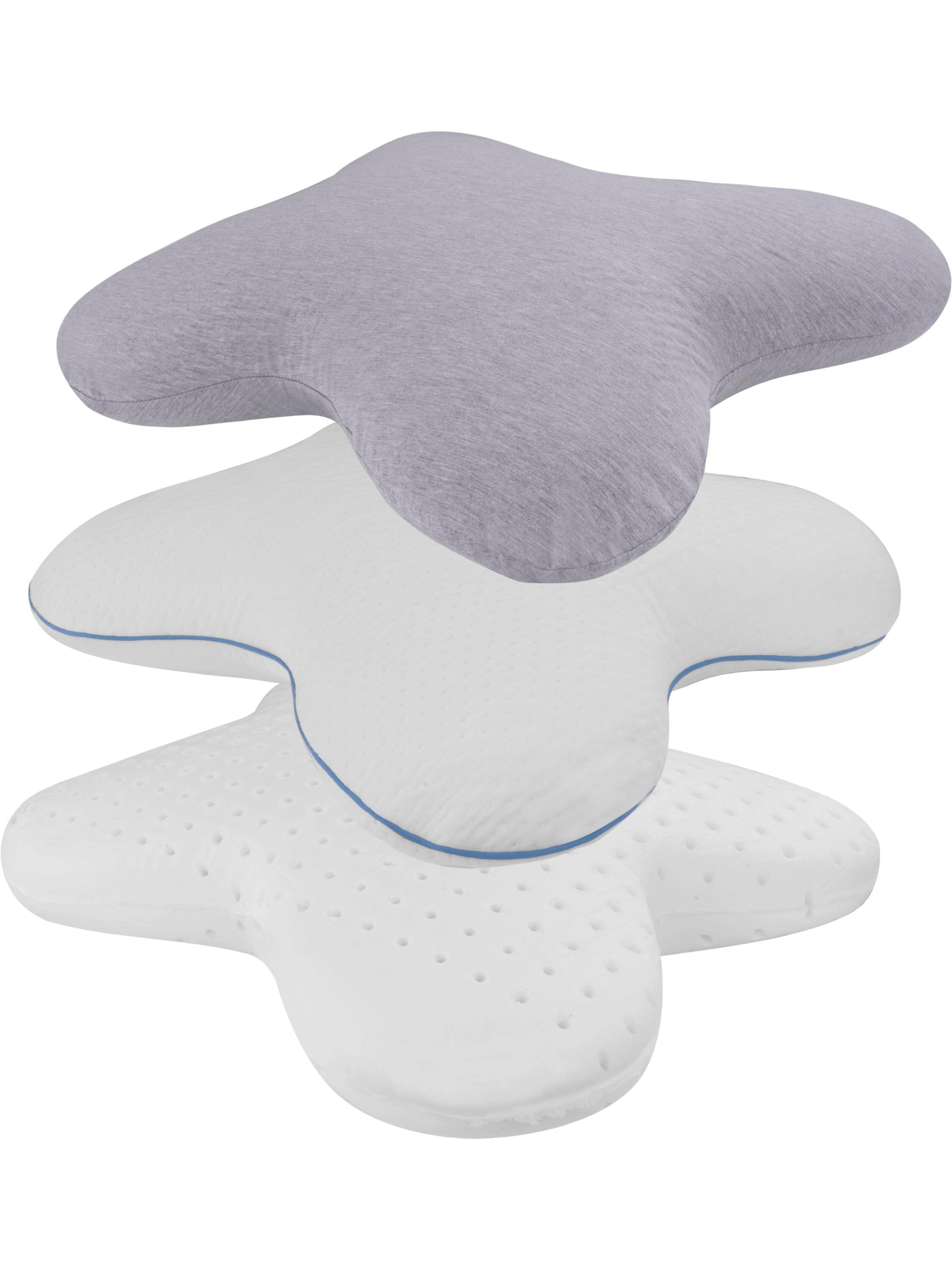 Coussins 'Maicao' Aspero en violet