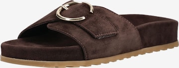 Mule Paul Green en marron : devant