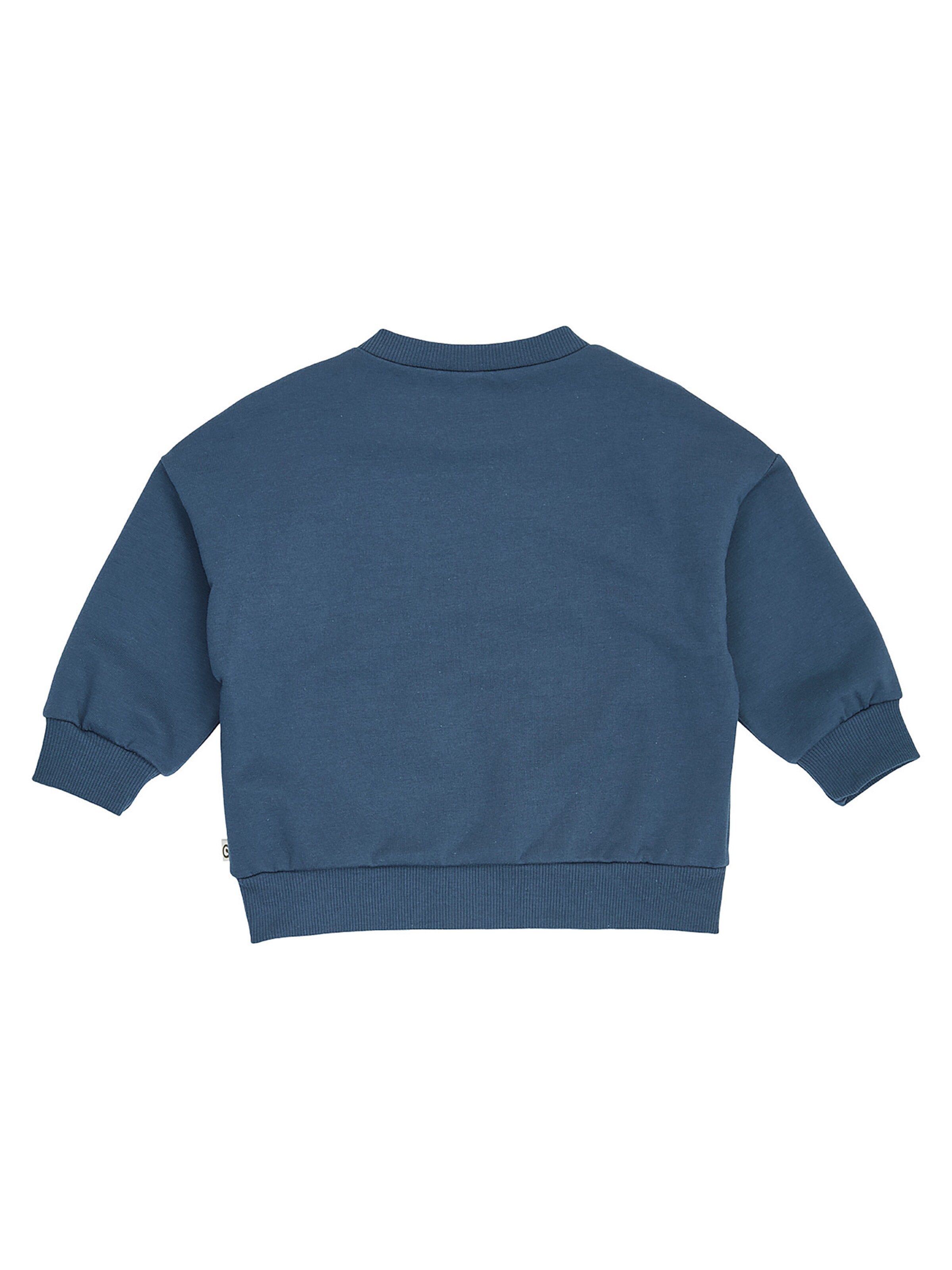 Müsli Sweatshirt in Blauw