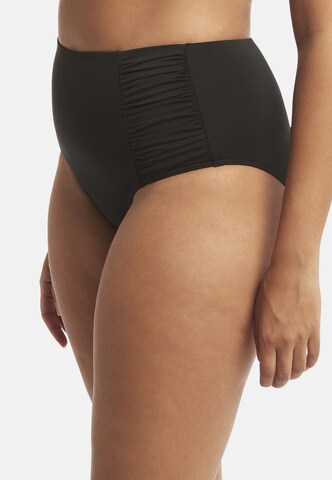 SEA LEVEL Bikinihose 'Gathered' in Schwarz
