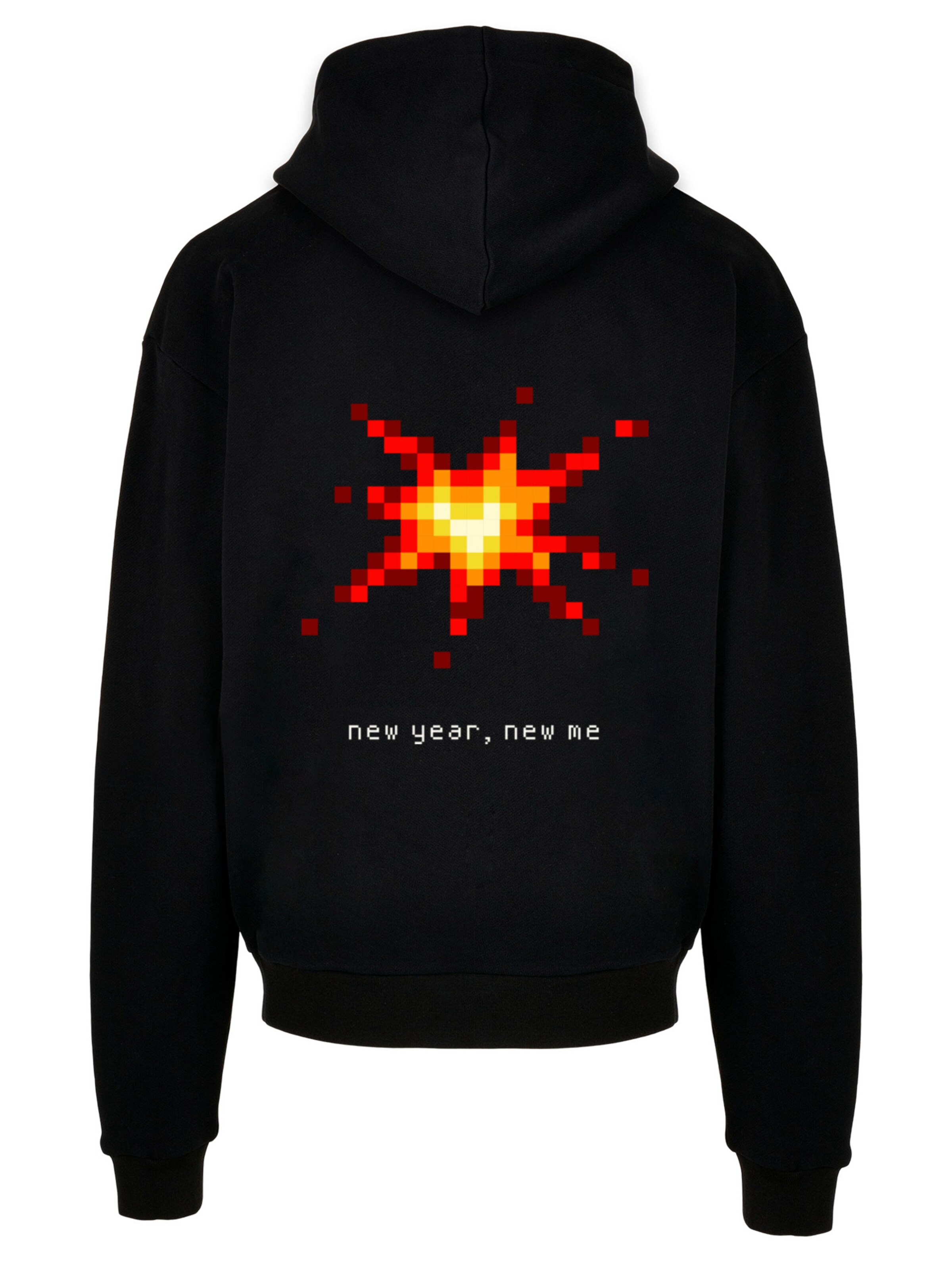 F4NT4STIC Sweatshirt in Schwarz