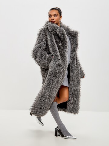CESARE GASPARI Winter coat in Grey