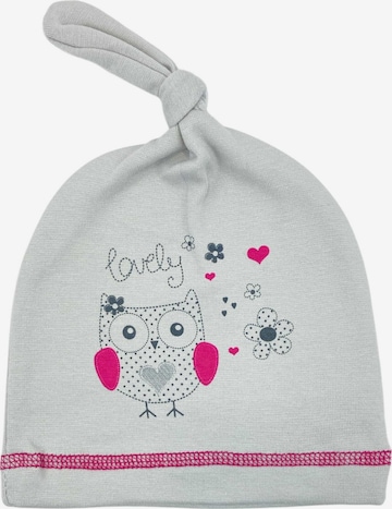 Aliap Beanie in Grey: front