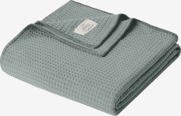 Cradle Studio Blankets in Green