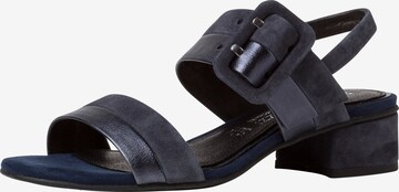 MARCO TOZZI Sandals in Blue: front