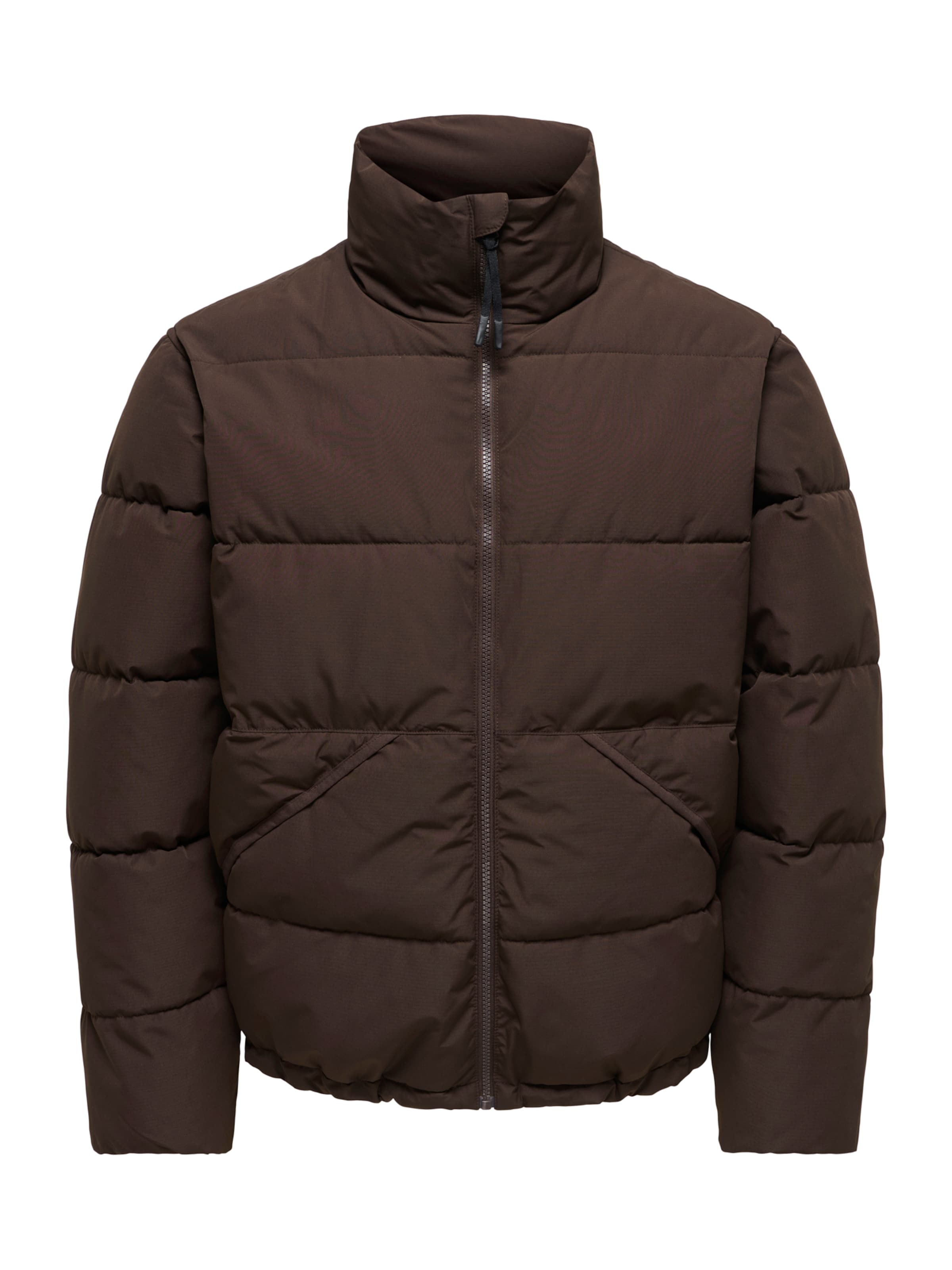 Giacca invernale 'ONSPack' di Only & Sons in marrone: frontale