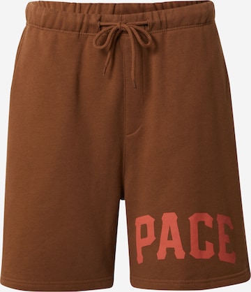 Pacemaker Avar lõige Püksid 'Jordan', värv pruun: eest vaates