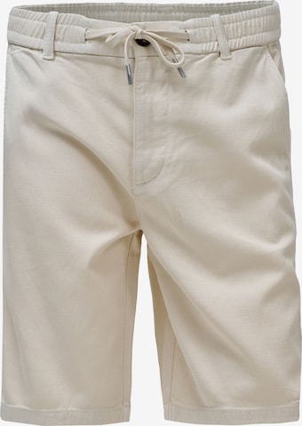 Salsa Jeans Jeans in Beige: voorkant