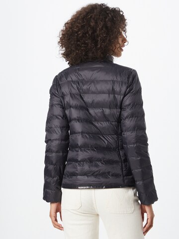 Polo Ralph Lauren Winter jacket in Black