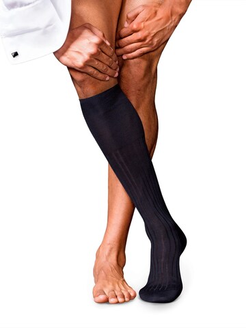 FALKE Kniestrümpfe 'No. 13 Finest Piuma Cotton'‌‌‌‌‌‌‌‌‌ in Blau: Vorderseite