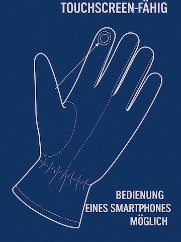 COLLEZIONE ALESSANDRO Fingerhandschuhe 'Modern' in Grau