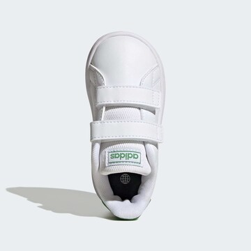 ADIDAS ORIGINALS Trampki 'Advantage' w kolorze biały