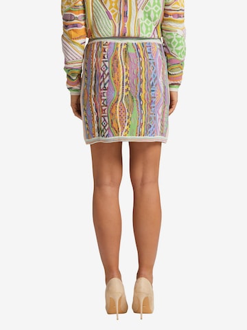 Carlo Colucci Skirt 'Cuya' in Mixed colors