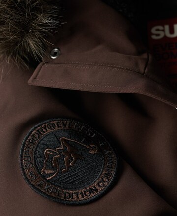 Veste d’hiver 'Everest' Superdry en marron