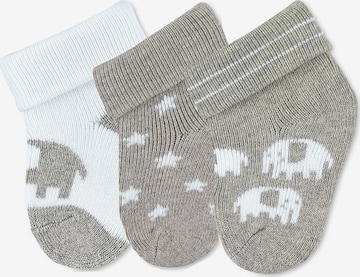 STERNTALER Socks 'Elefant' in Grey