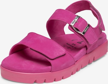 Sandalo di VITAFORM in rosa: frontale
