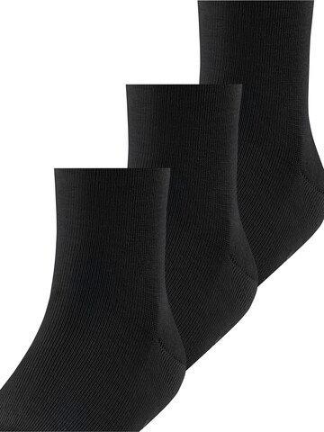 FALKE Socks 'Family 3-Pack' in Black