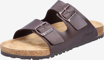 Rieker Mules in Brown: front