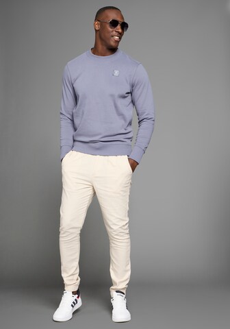 DELMAO Sweatshirt in Grey