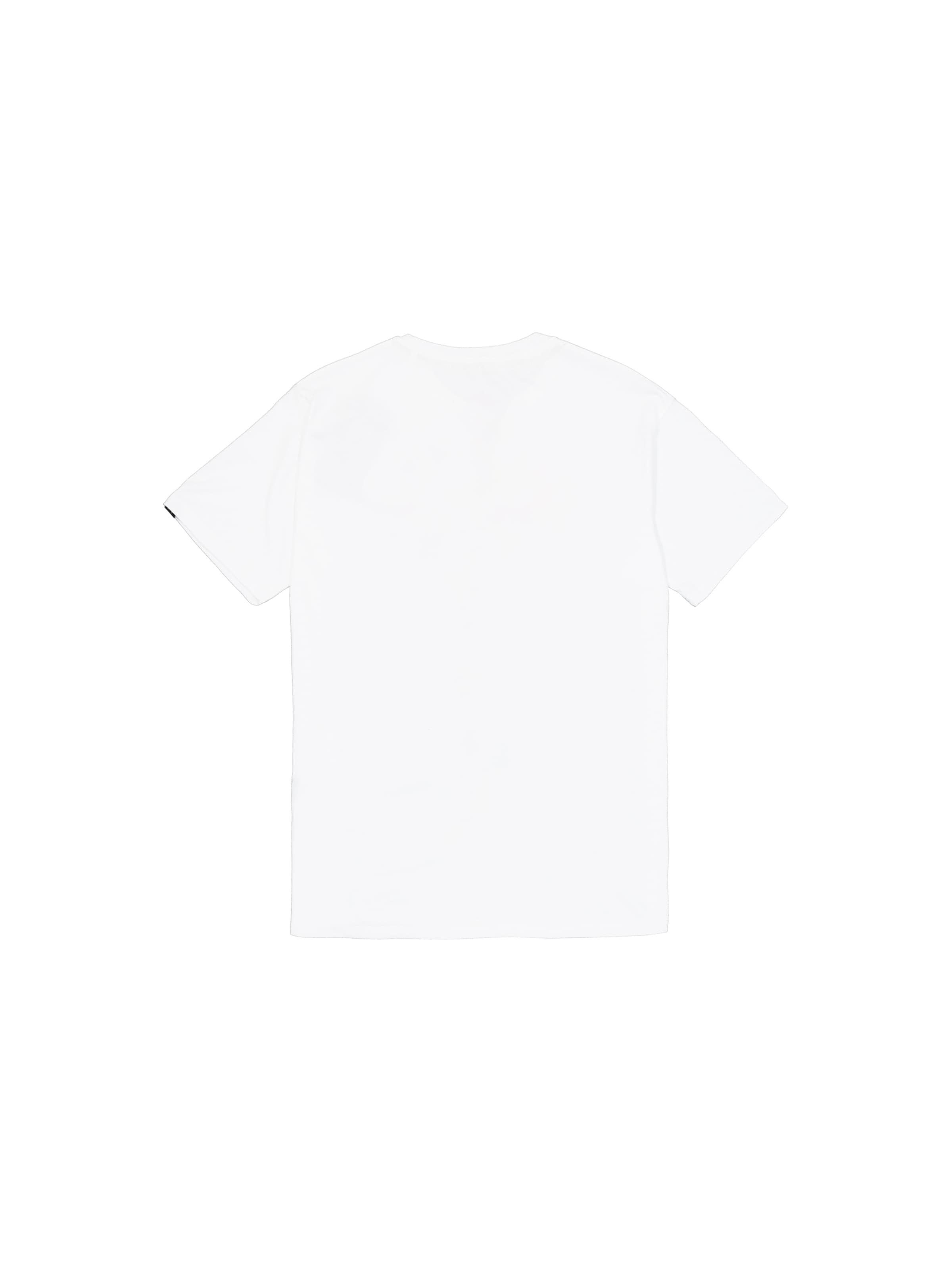 ALPHA INDUSTRIES Футболка 'Basic TPU' в Белый