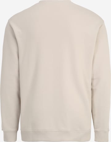 Lyle & Scott Big&TallSweater majica - siva boja