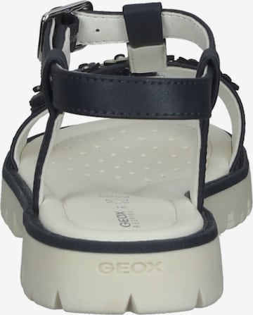 GEOX Sandale in Blau