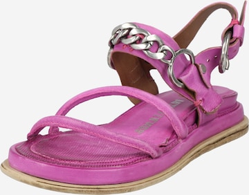 A.S.98 Sandal 'Pola21' in Pink: front
