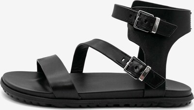 UGG Sandale in schwarz, Produktansicht