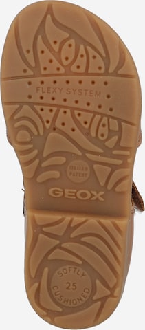 GEOX Sandały 'VERRED' w kolorze brązowy
