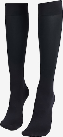 CALZEDONIA Knee High Socks in Blue: front