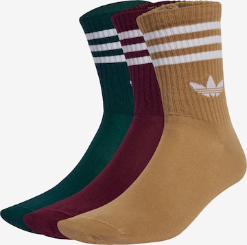 ADIDAS ORIGINALS Socks in Brown: front