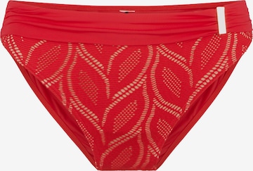 Bas de bikini LingaDore en rouge : devant