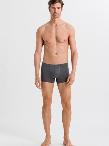 Hanro Boxer shorts 'Cotton Essentials' in Grey