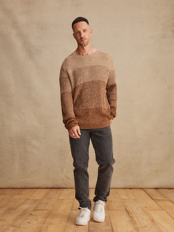 DAN FOX APPAREL Sweater 'Elia' in Brown