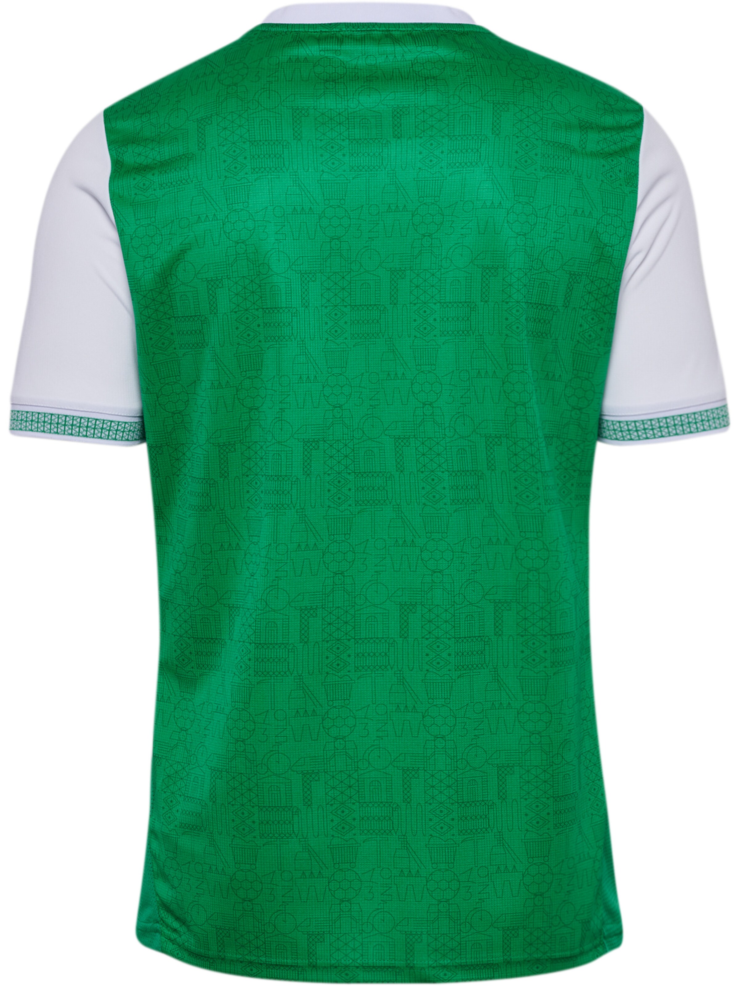 Hummel Tricot 'AS Saint-Étienne' in Groen