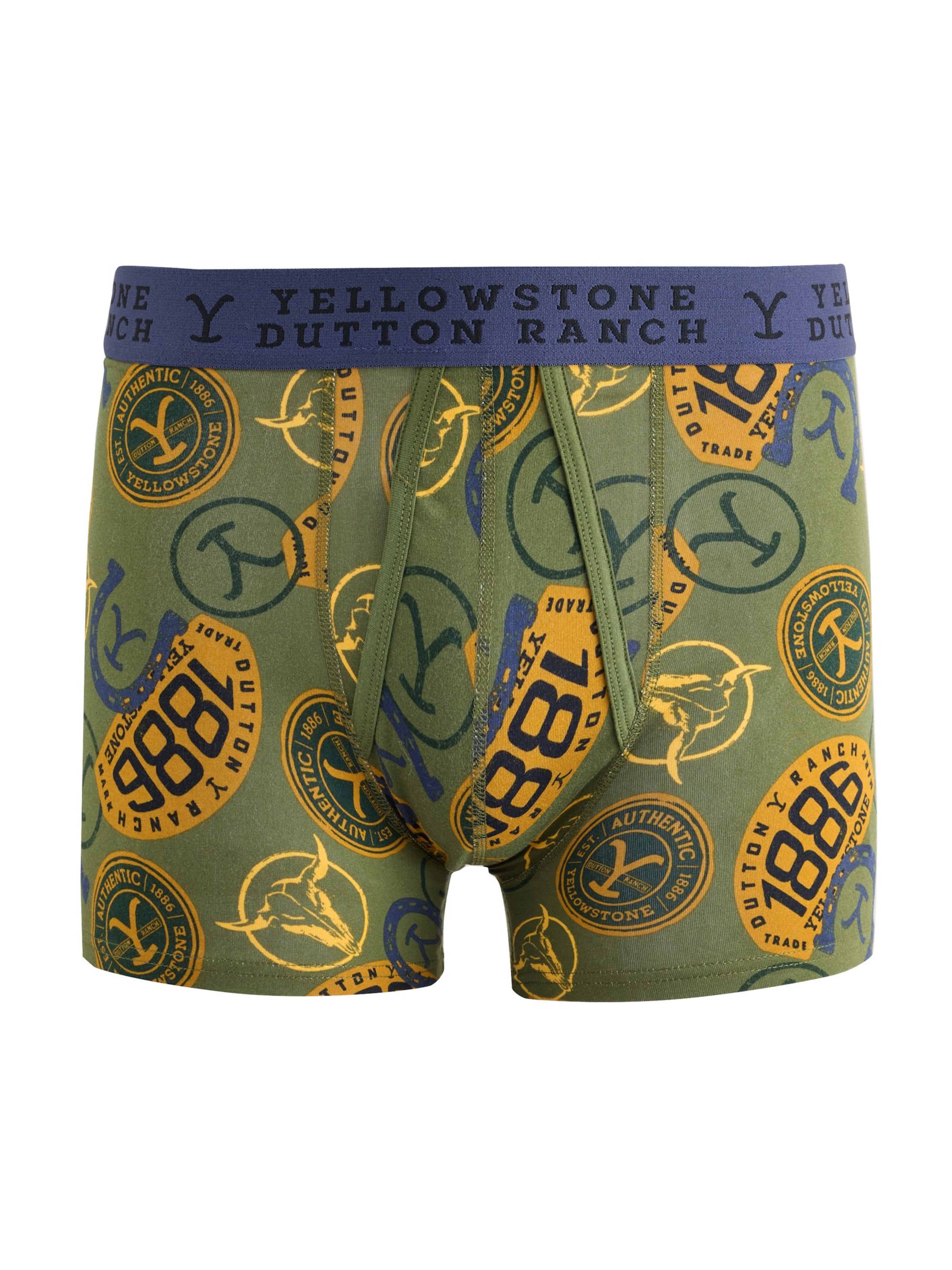 Next Boxershorts in S in de kleur Navy / Geel / Groen, Productweergave