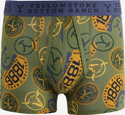Next Boxer shorts in S in Navy / Yellow / Green, Item view