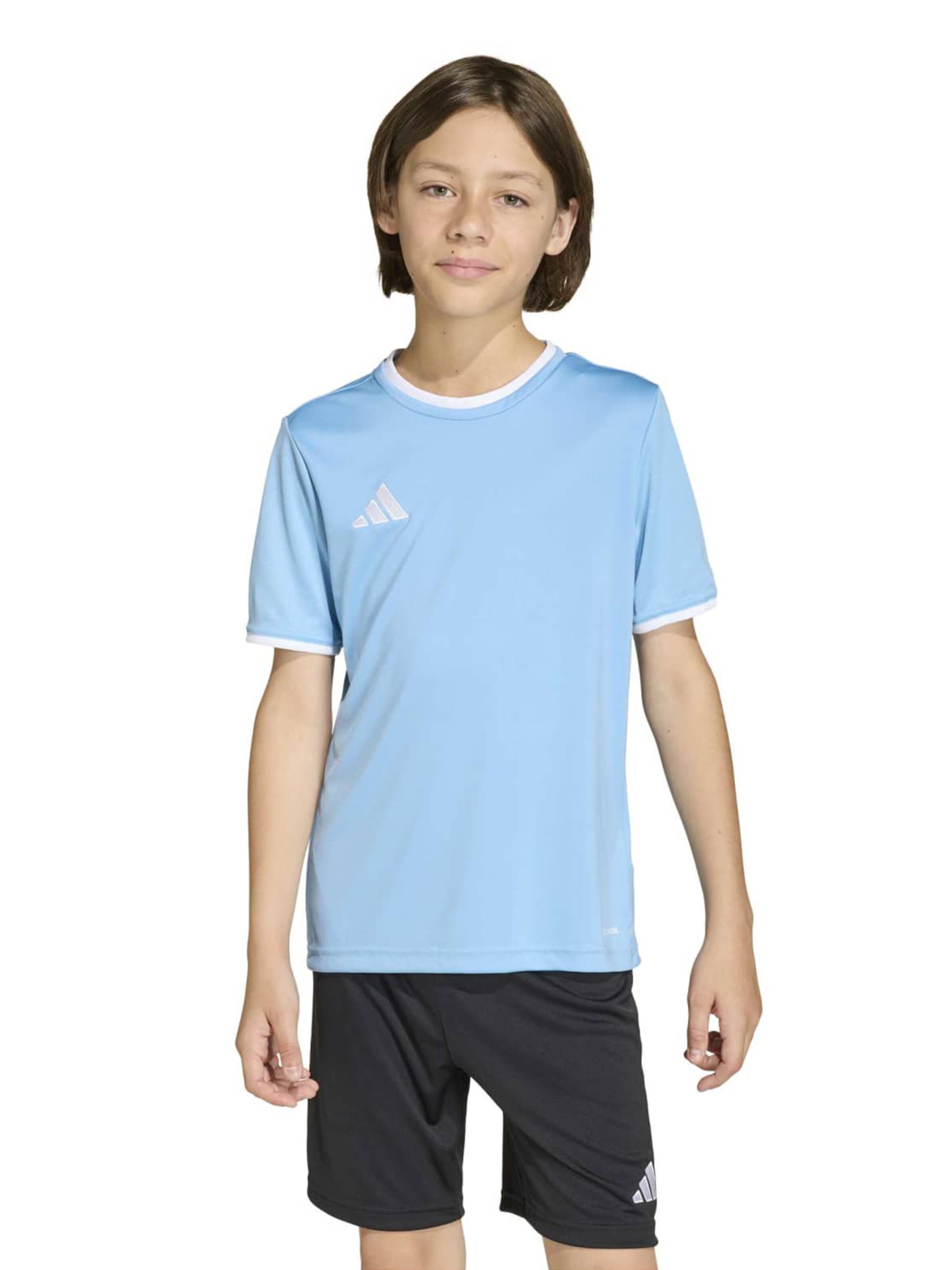 ADIDAS PERFORMANCE Функциональная футболка 'ENT26' в Синий: спереди