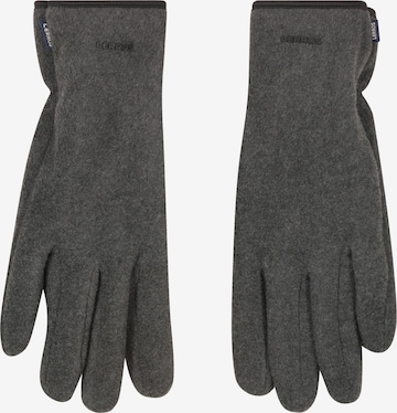 LERROS Vingerhandschoenen in Grijs: voorkant