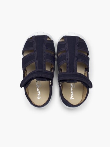 Pisamonas First-step shoe in Blue