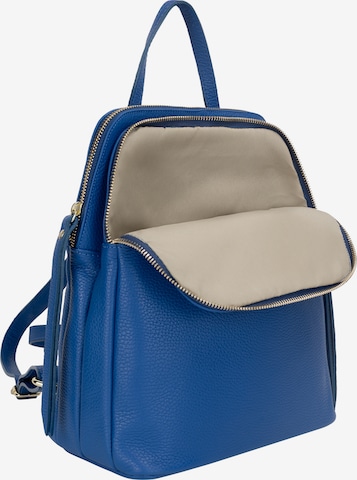 Usha Backpack in Blue