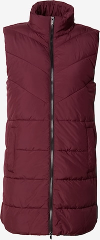 Noisy may Vest 'Dalcon' in Red: front