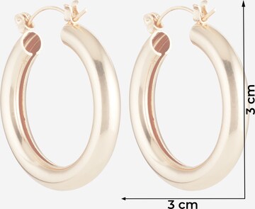 ABOUT YOU Earrings 'Leana' in Gold