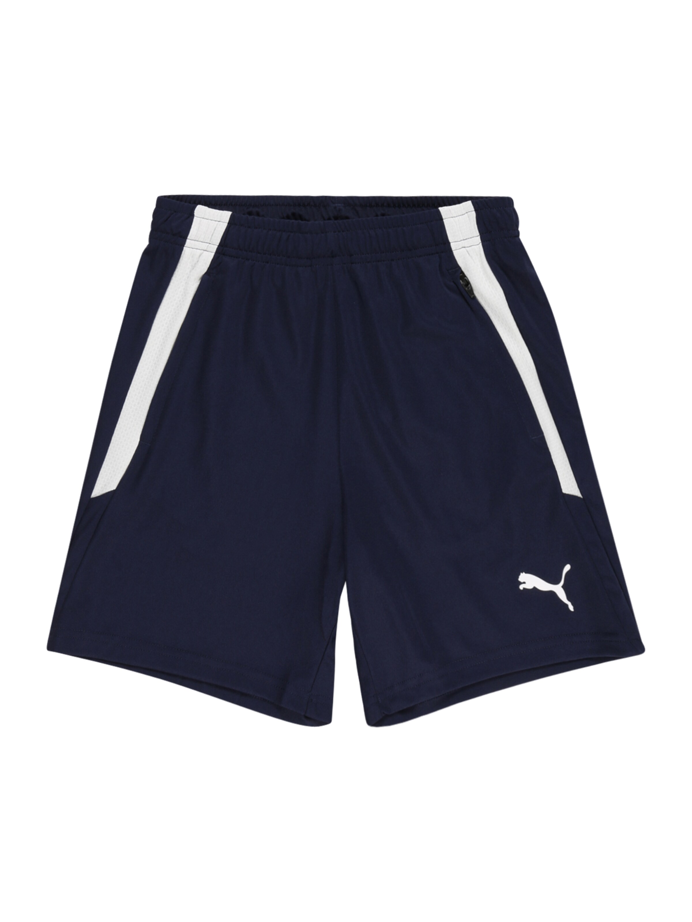 PUMA Sportshorts 'Team Liga' in Blau: Vorderseite